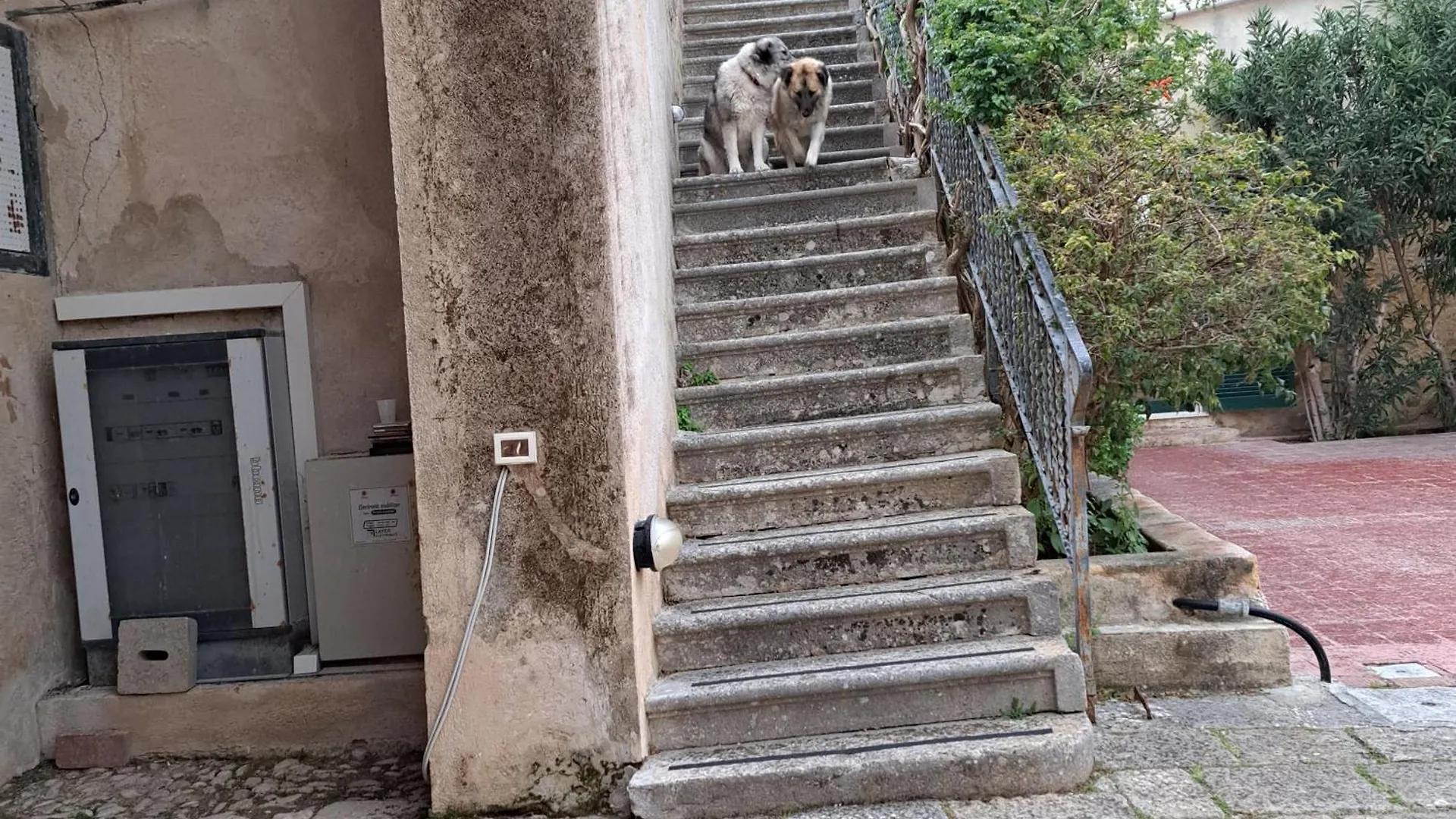 U Bagghiu Bed & Breakfast Paceco Italy